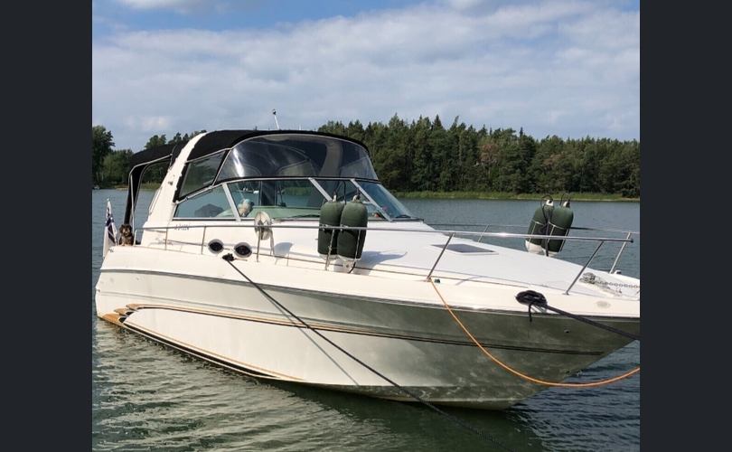 Sea Ray 310 Sundancer-kuva-21